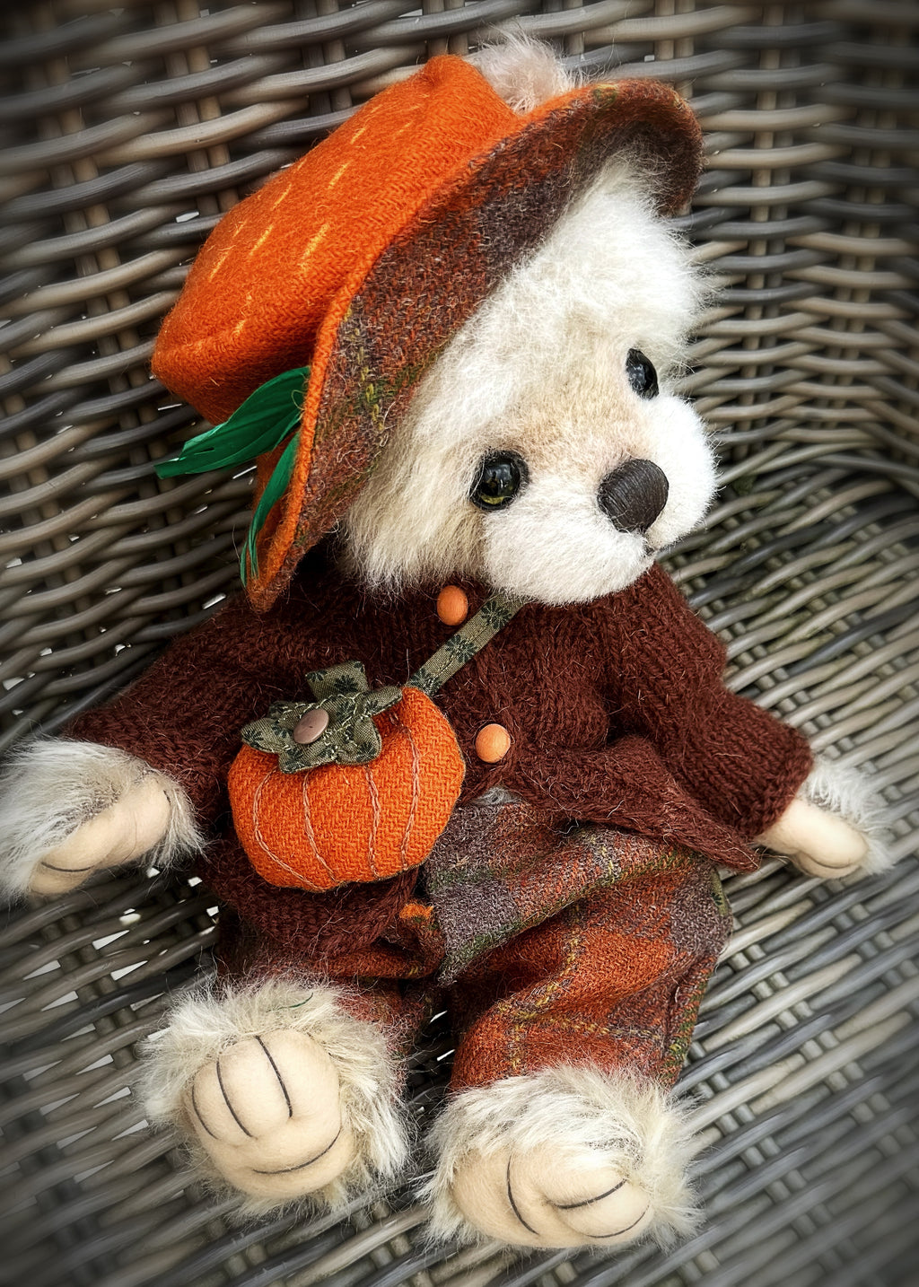 Boo bear is available for adoption
