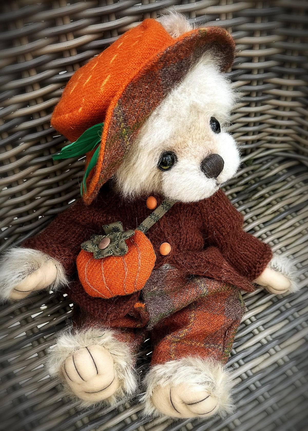 Boo bear is available for adoption