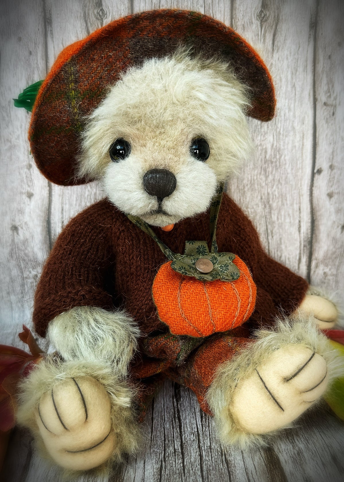 Boo bear is available for adoption