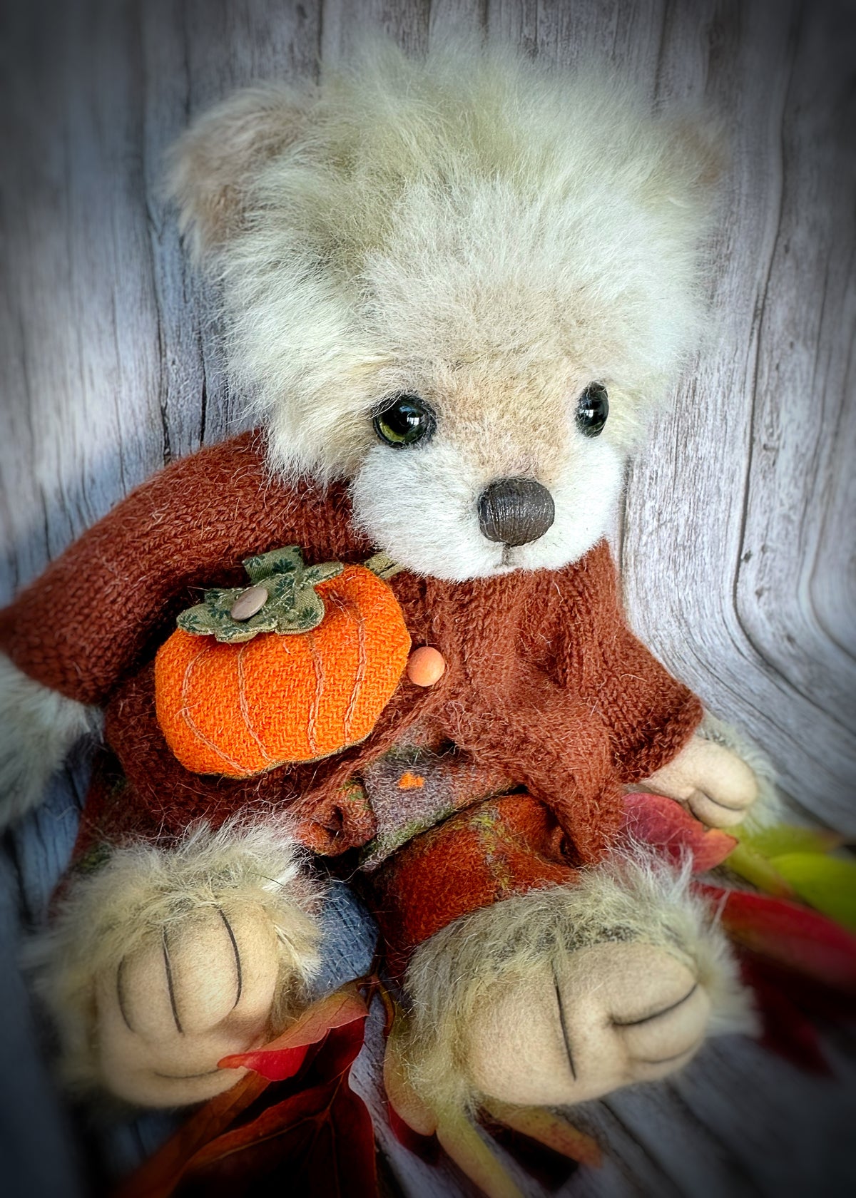 Boo bear is available for adoption
