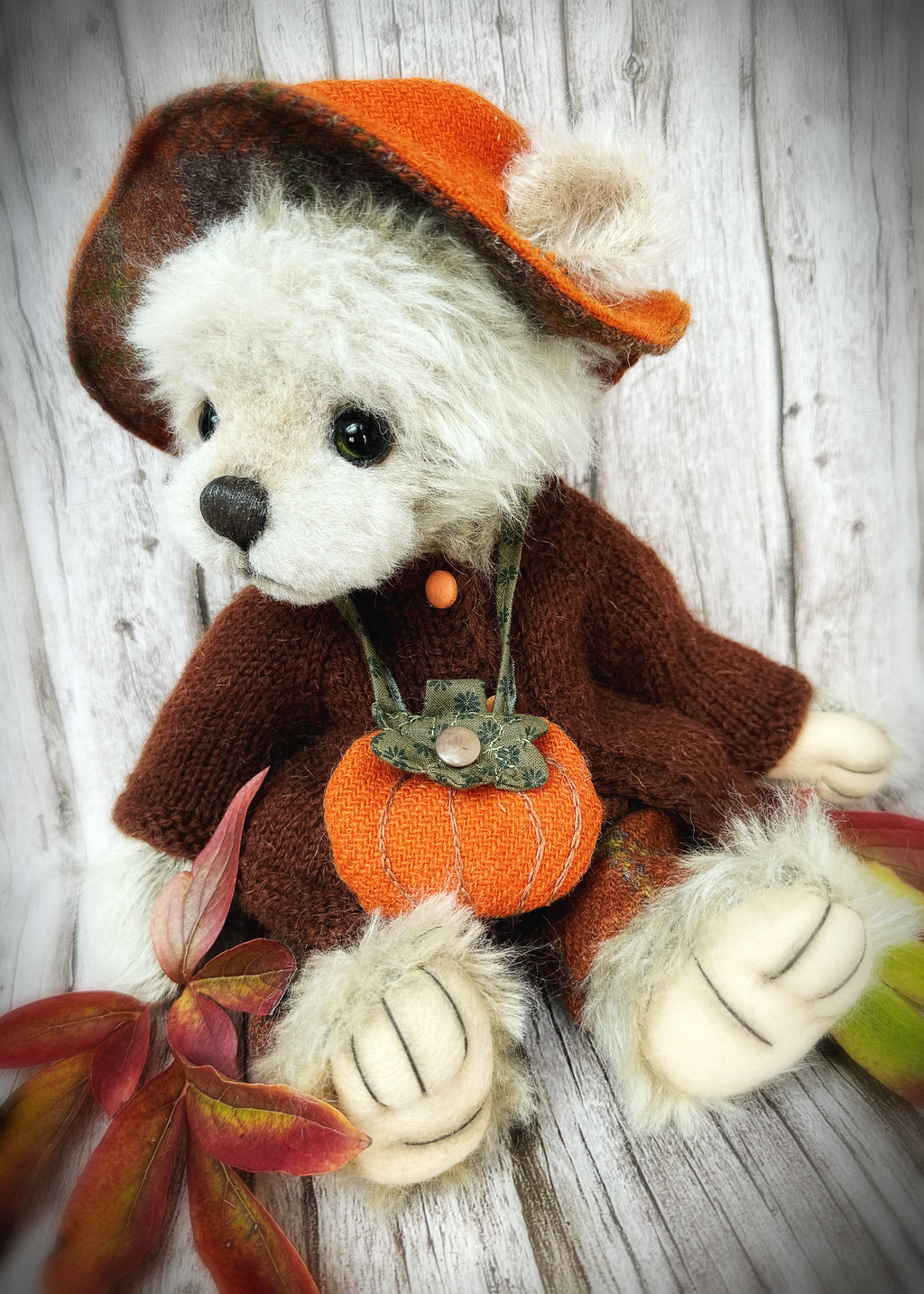 Boo bear is available for adoption