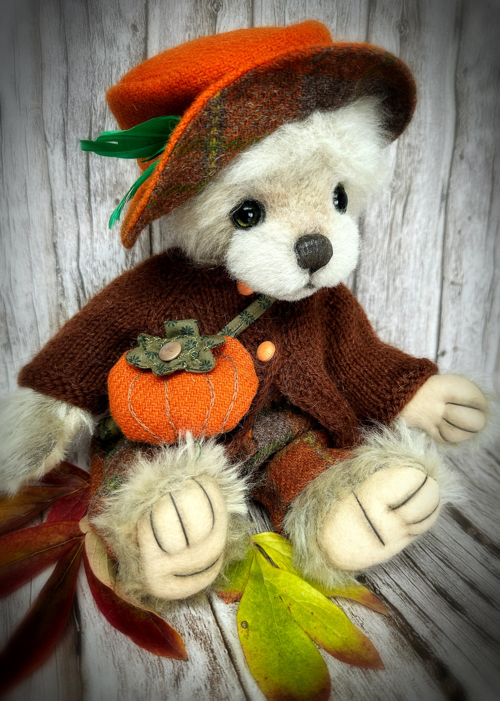 Boo bear is available for adoption