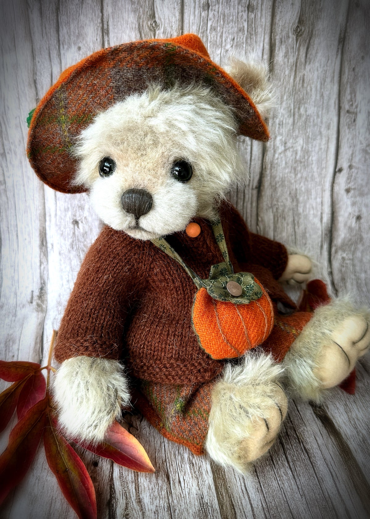 Boo bear is available for adoption