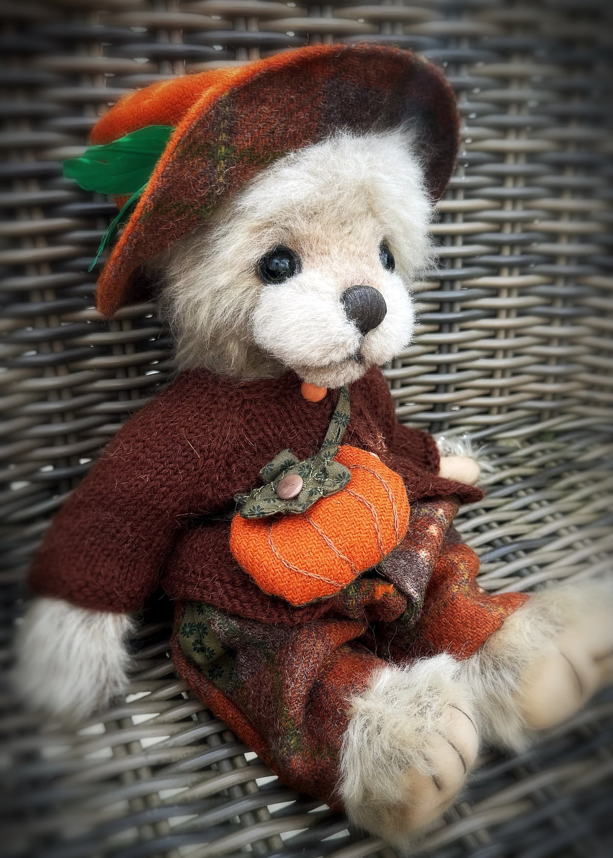 Boo bear is available for adoption