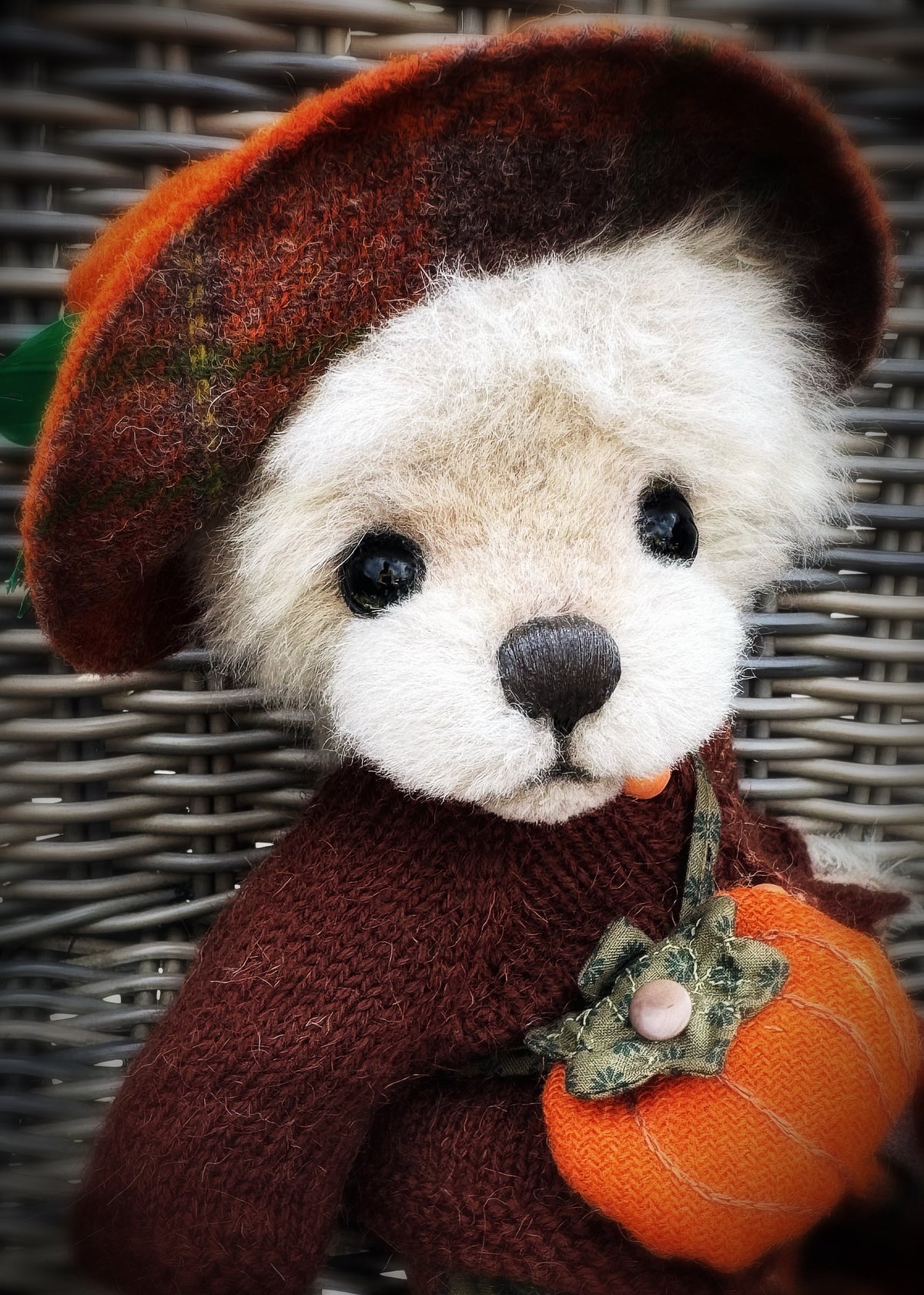 Boo bear is available for adoption