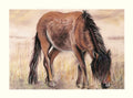 Limited Edition Art Print