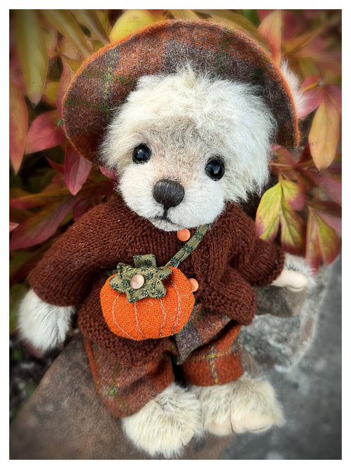 Boo bear is available for adoption