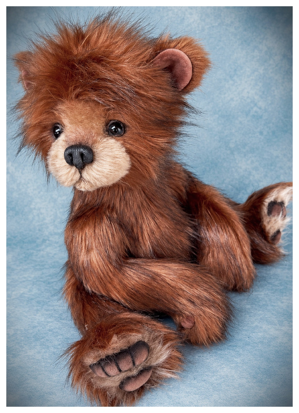 Rufus is available for adoption