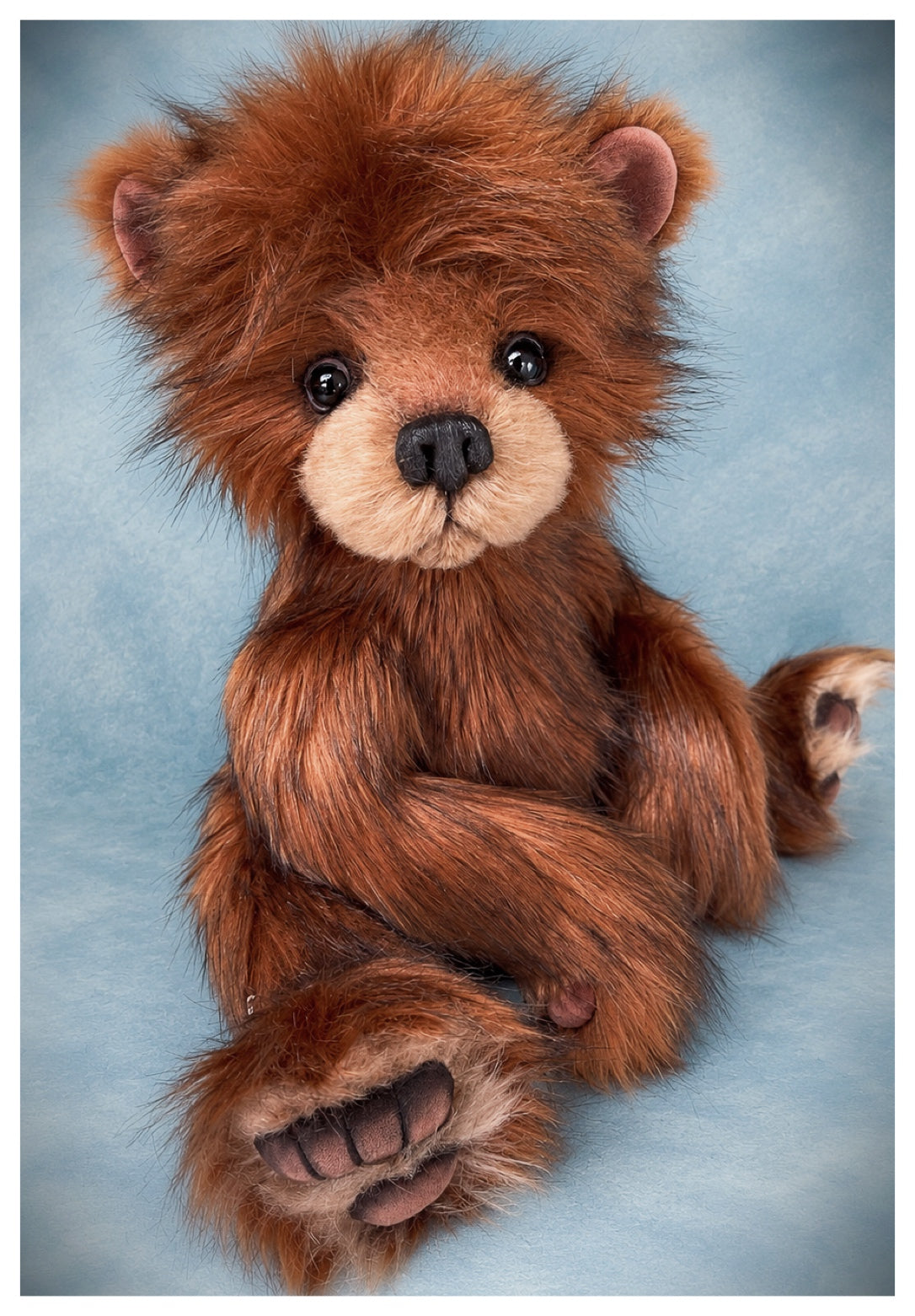 Rufus is available for adoption