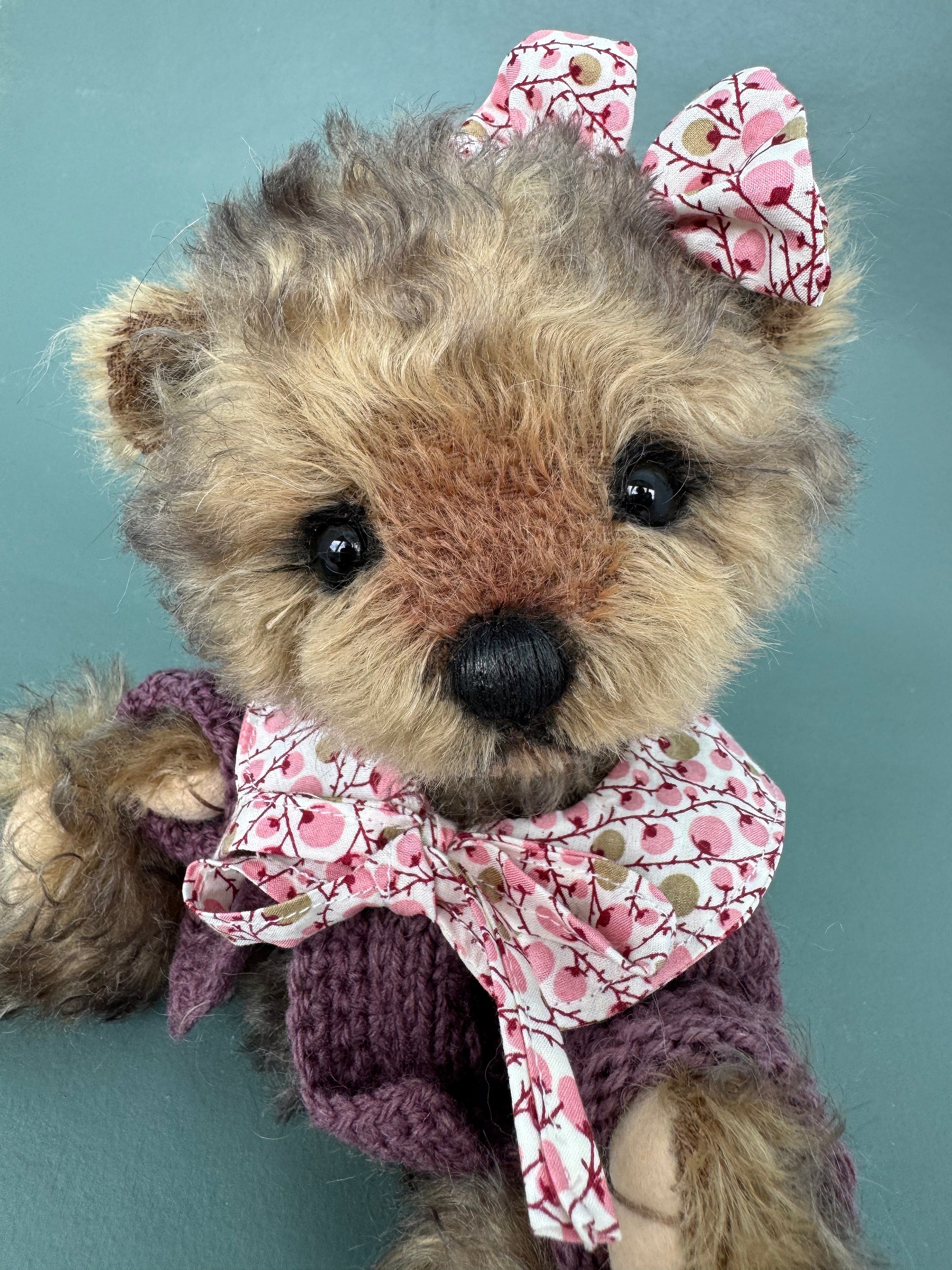 Jessie the Bear
